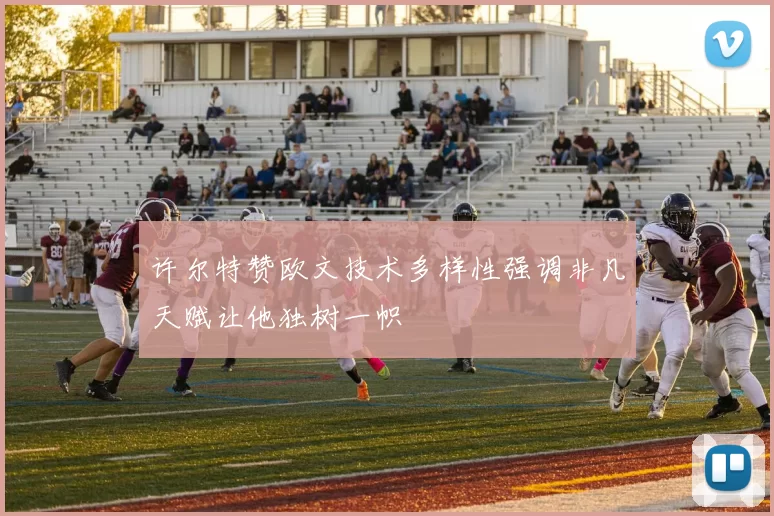 许尔特赞欧文技术多样性强调非凡天赋让他独树一帜